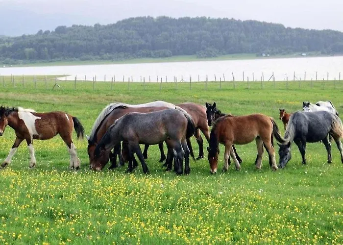 Къщи За Гости ゲストハウス *